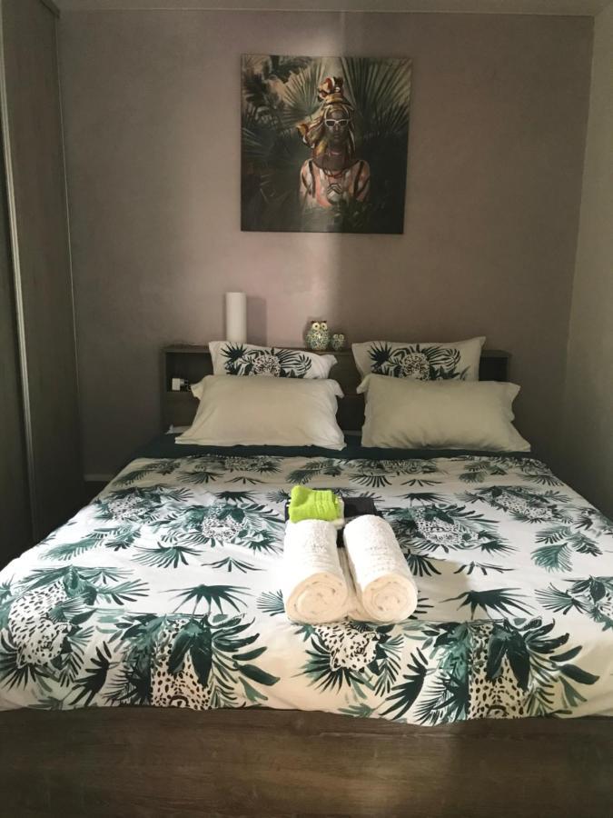 Grand T2 Tout Confort , Emplacement Ideal Riviere-Salee Exterior foto